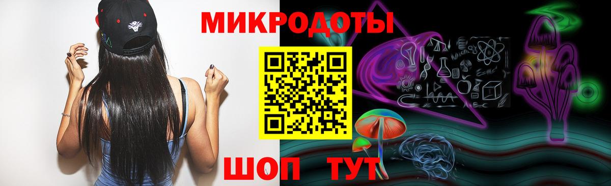Псилоцибиновые грибы Psilocybine cubensis Саранск